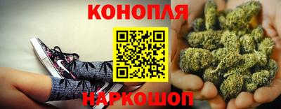 прущие крисы Дубна