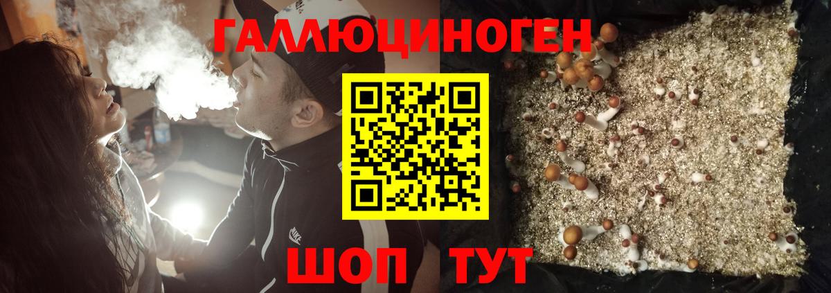 Галлюциногенные грибы Psilocybe  где можно купить   Лесной  Вход с VPN 