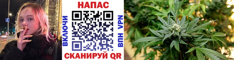 хочу наркоту  Лесной  Бошки марихуана гибрид 